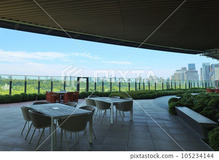 俯瞰日比谷公園的風景 俯瞰日比谷公園的風景 105234144