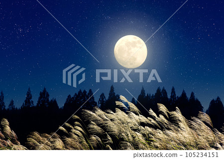 Susuki and the full moon 105234151