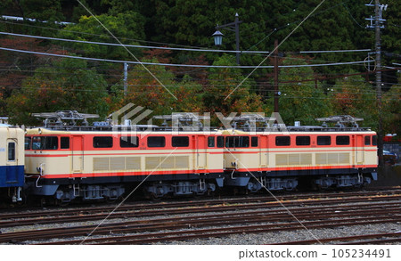 A former Seibu Railway E31 electric locomotive stopping at Senzu Station on the Oigawa Railway 105234491