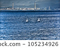 Beppu Bay 105234926