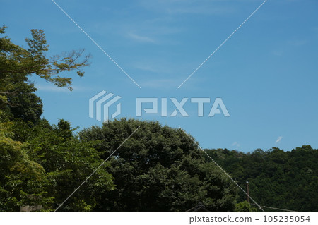 高尾山的後裔 105235054