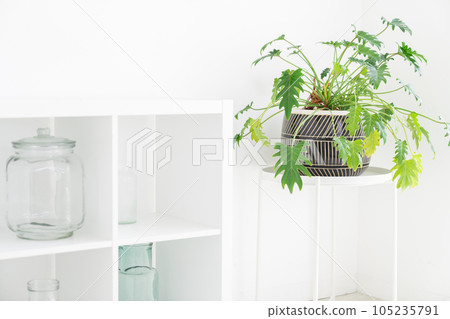 Bright living room 105235791