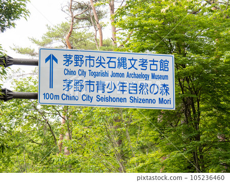 A road sign that guides you to the Chino City Togariishi Jomon Archaeological Museum and the Chino City Youth Nature Forest. (Chino City, Nagano Prefecture) 105236460