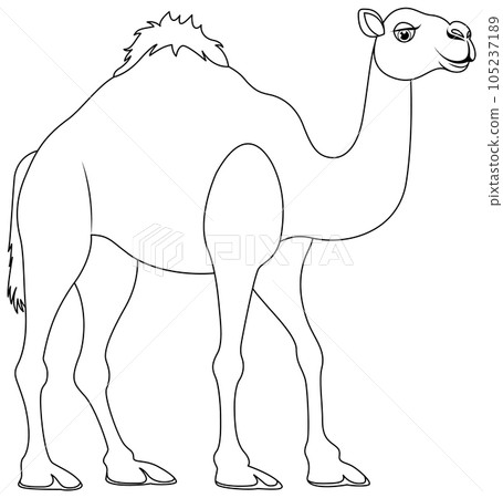 Camel Walking Outline Camel Walking Outline 105237189