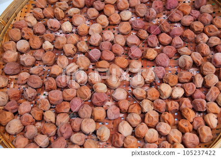 曬梅干(製作梅干) 曬梅干(製作梅干) 105237422