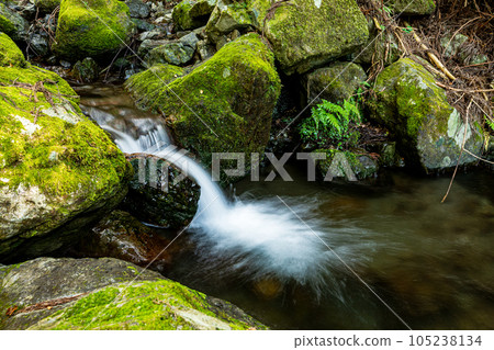 In the depths of autumn, the trees turn red and yellow, adding color to the mountains and rivers. In the depths of autumn, the trees turn red and yellow, adding color to the mountains and rivers. 105238134