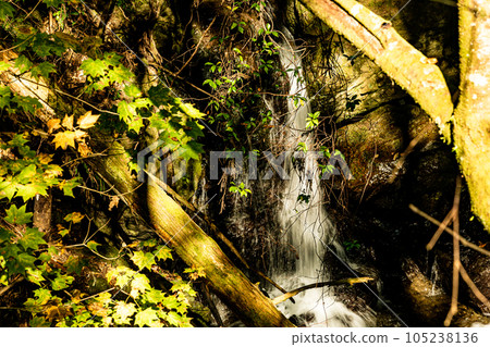 In the depths of autumn, the trees turn red and yellow, adding color to the mountains and rivers. In the depths of autumn, the trees turn red and yellow, adding color to the mountains and rivers. 105238136