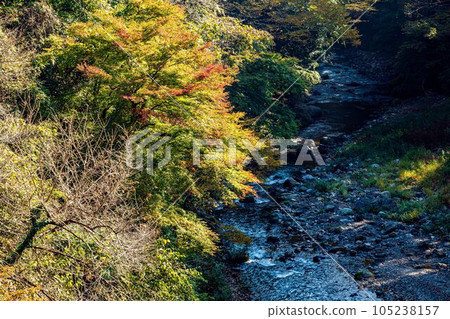 In the depths of autumn, the trees turn red and yellow, adding color to the mountains and rivers. In the depths of autumn, the trees turn red and yellow, adding color to the mountains and rivers. 105238157