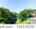 railroad tracks, greenery and sky 105238281