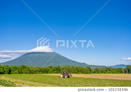Niseko Mt. Yotei beautiful farmland tractor Niseko Mt. Yotei beautiful farmland tractor 105238396