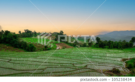 Golden Sunset over Agricultural Beauty: Scenic Rice Field Terrace on a Hillside 105238434