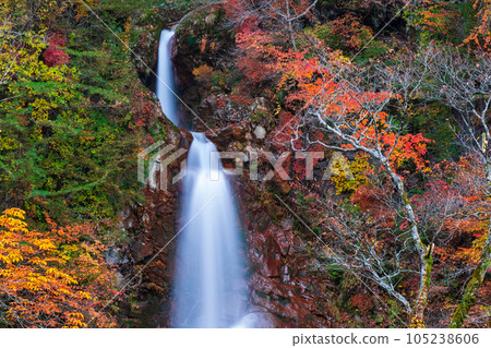Seven Falls in Autumn (Hachimantai, Iwate Prefectural Forest) Seven Falls in Autumn (Hachimantai, Iwate Prefectural Forest) 105238606