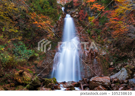 Seven Falls in Autumn (Hachimantai, Iwate Prefectural Forest) Seven Falls in Autumn (Hachimantai, Iwate Prefectural Forest) 105238610
