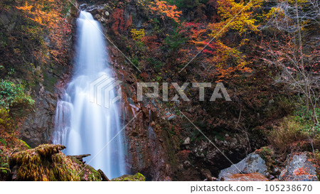Seven Falls in Autumn (Hachimantai, Iwate Prefectural Forest) Seven Falls in Autumn (Hachimantai, Iwate Prefectural Forest) 105238670