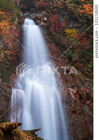 Seven Falls in Autumn (Hachimantai, Iwate Prefectural Forest) 105238680