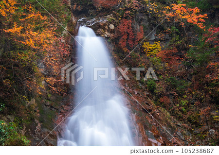 Seven Falls in Autumn (Hachimantai, Iwate Prefectural Forest) Seven Falls in Autumn (Hachimantai, Iwate Prefectural Forest) 105238687
