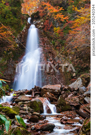Seven Falls in Autumn (Hachimantai, Iwate Prefectural Forest) 105240344