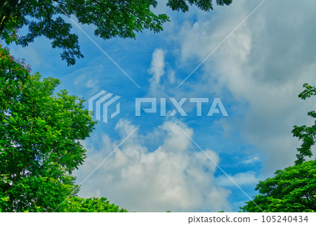 Space of blue sky and clouds Space of blue sky and clouds 105240434