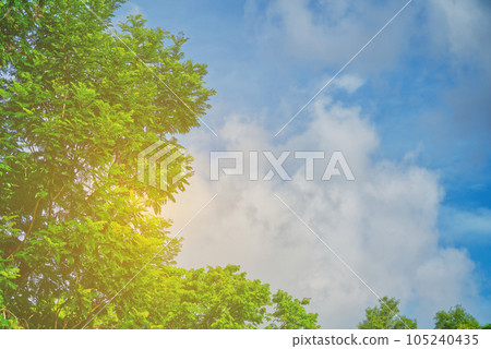 Empty space of blue sky and clouds Empty space of blue sky and clouds 105240435