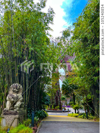 The pathway to OCBC Skyway in Singapore. High quality photo The pathway to OCBC Skyway in Singapore. High quality photo 105240854