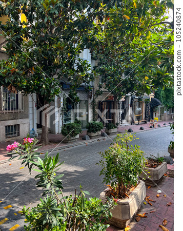 A narrow cozy street with climbing plants in Galata district, Istanbul. High quality photo A narrow cozy street with climbing plants in Galata district, Istanbul. High quality photo 105240874