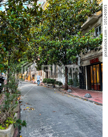 A narrow cozy street with climbing plants in Galata district, Istanbul. High quality photo 105240955