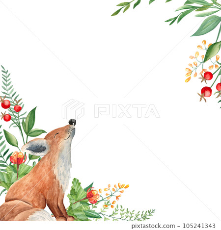 Watercolor square forest frame, border with baby fox, cloudberry, fern, green branches, red and yellow berries and wildflowers isolated on white background. Hand drawn botanical illustration. Can be 105241343