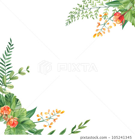Watercolor square forest frame, border with fern, cloudberry, green branches and yellow wildflowers isolated on white background. Hand drawn botanical illustration. Can be used for logo design, as Watercolor square forest frame, border with fern, cloudberry, green branches and yellow wildflowers isolated on white background. Hand drawn botanical illustration. Can be used for logo design, as 105241345