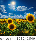 向日葵 105241649