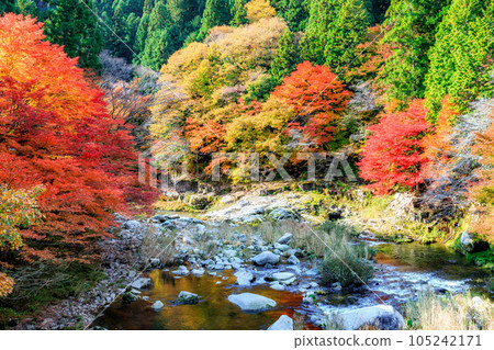 紅葉之谷|奧津溪谷 紅葉之谷|奧津溪谷 105242171