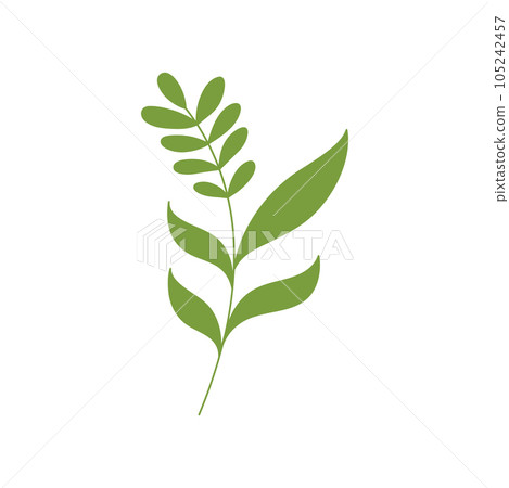 Beauty florist vector icon design 105242457