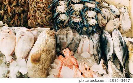 Fresh fish on display on ice on fishermen market store shop. Seafood fish, shrimp, blue crab, fresh fish. Seafood fish background. Top view 105243437