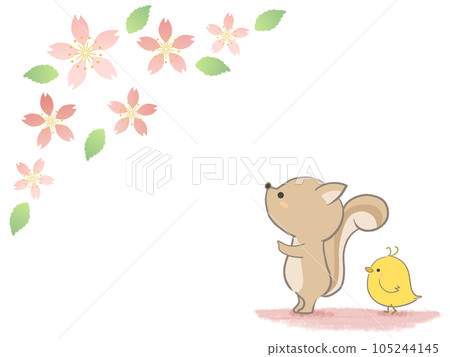 松鼠和櫻花的可愛框架圖 105244145