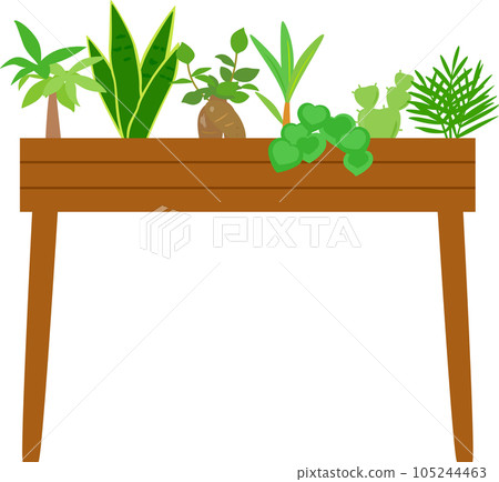Houseplants on a wooden rack 105244463