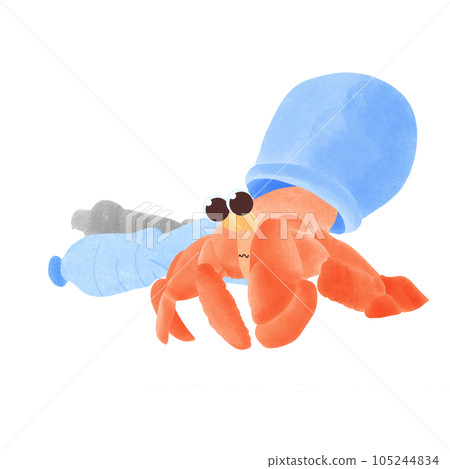 Hermit crabs and trash on the beach Hermit crabs and trash on the beach 105244834