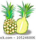 菠蘿 105246006