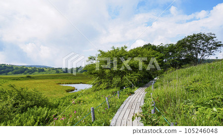 長野縣諏訪市霧峰屋島濕地(暑假) 長野縣諏訪市霧峰屋島濕地(暑假) 105246048