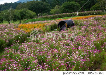 黑姬滑雪公園宇宙場｜黑姬山腳下 105246366