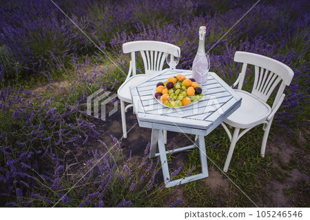 The table is set for two romantic dates on a lavender field with a romantic atmosphere The table is set for two romantic dates on a lavender field with a romantic atmosphere 105246546