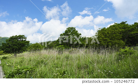 Kirigamine's Yashima Marsh in Suwa City, Nagano Prefecture (summer vacation) Kirigamine's Yashima Marsh in Suwa City, Nagano Prefecture (summer vacation) 105246772