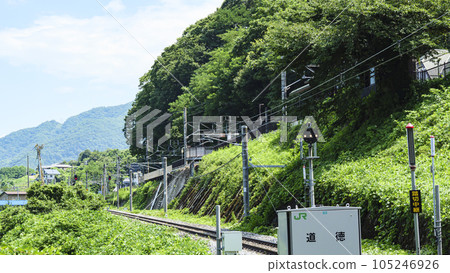 Obasute Station and Obasute Terraced Rice Fields (summer), tourist attractions in Chikuma City, Nagano Prefecture 105246926