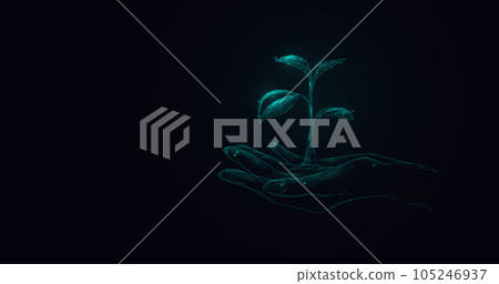 Hand holding seedling plant. Low polygonal and wireframe from dots and lines. Vector illustration 105246937