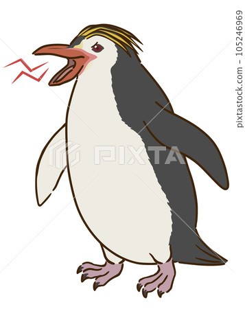 angry royal penguin angry royal penguin 105246969
