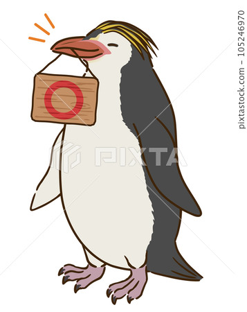 A royal penguin holding a sign with a circle mark in its mouth A royal penguin holding a sign with a circle mark in its mouth 105246970