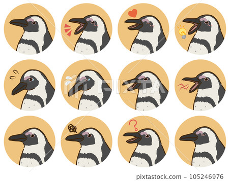 Cape penguin facial expression icon set 105246976
