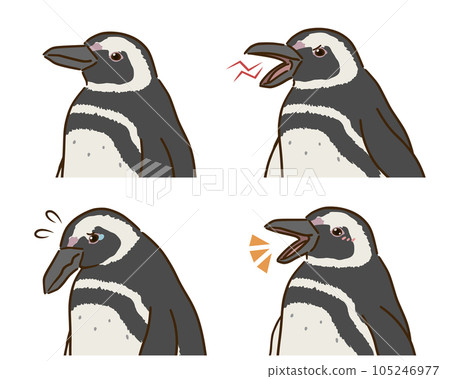 Magellan penguin emotions set Magellan penguin emotions set 105246977