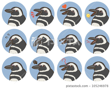 Magellan penguin facial expression icon set Magellan penguin facial expression icon set 105246978