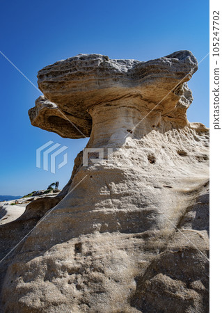 Senjojiki（和歌山縣） 105247702