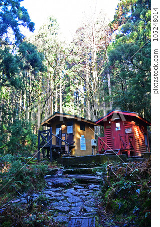 Yakusugi virgin forest, Jomonsugi trekking course Yakusugi virgin forest, Jomonsugi trekking course 105248014