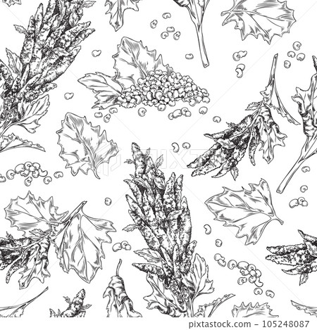 Seamless pattern with black contour quinoa ripe branch with flowers, leaves and grains, healthy food hand drawn vector Seamless pattern with black contour quinoa ripe branch with flowers, leaves and grains, healthy food hand drawn vector 105248087
